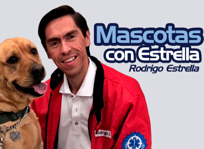 Mascotas con Estrella con Rodrigo Estrella