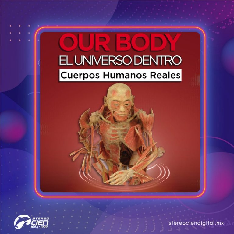 Our Body
