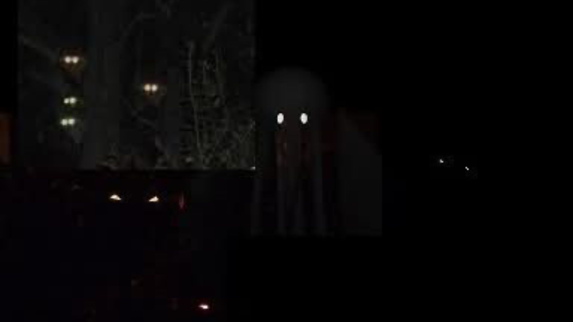 ¿Por qué los ojos de estos animales brillan al enfocarlos con una luz en la oscuridad?