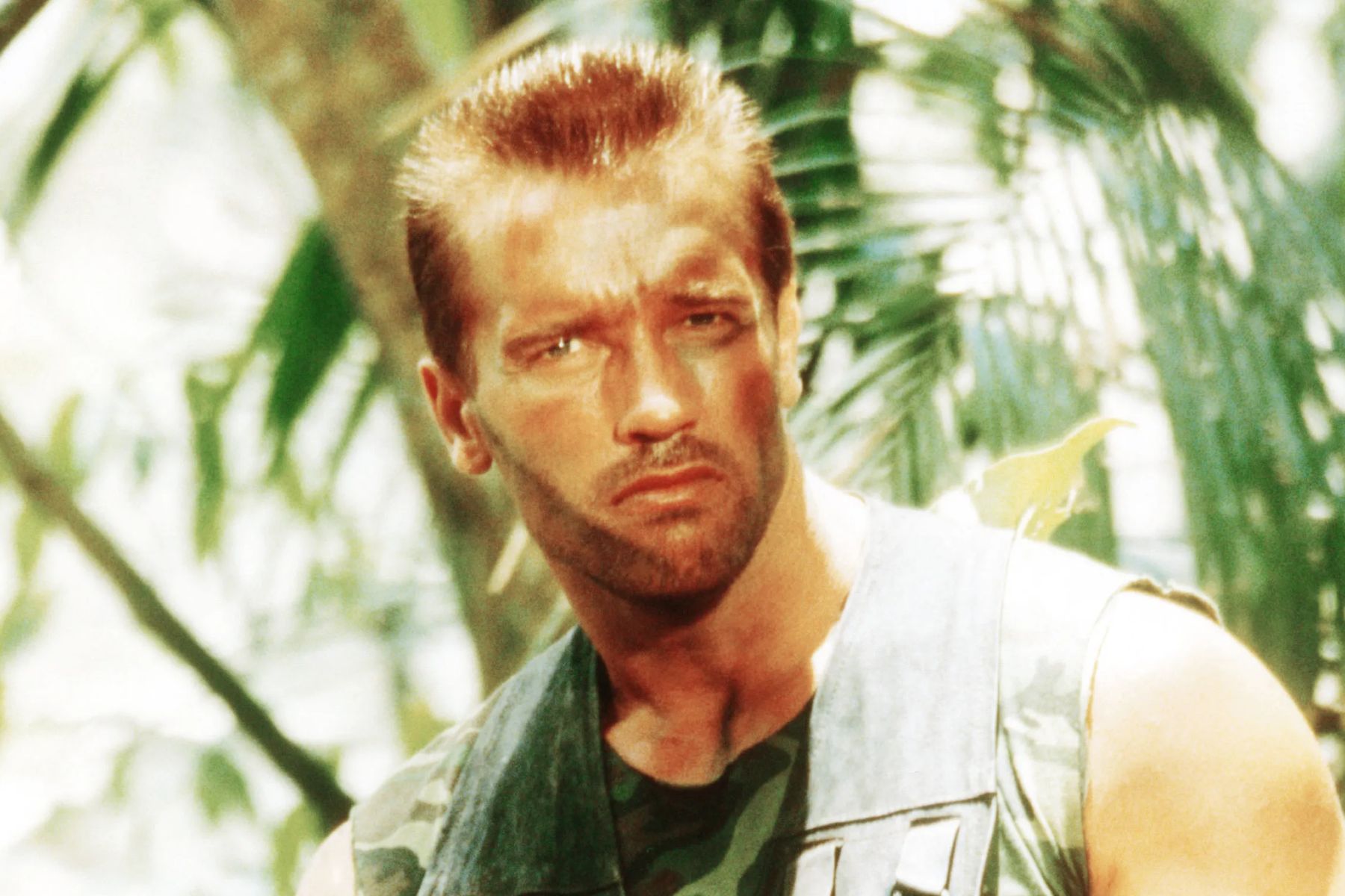 Arnold Schwarzenegger podría regresar al universo Predator