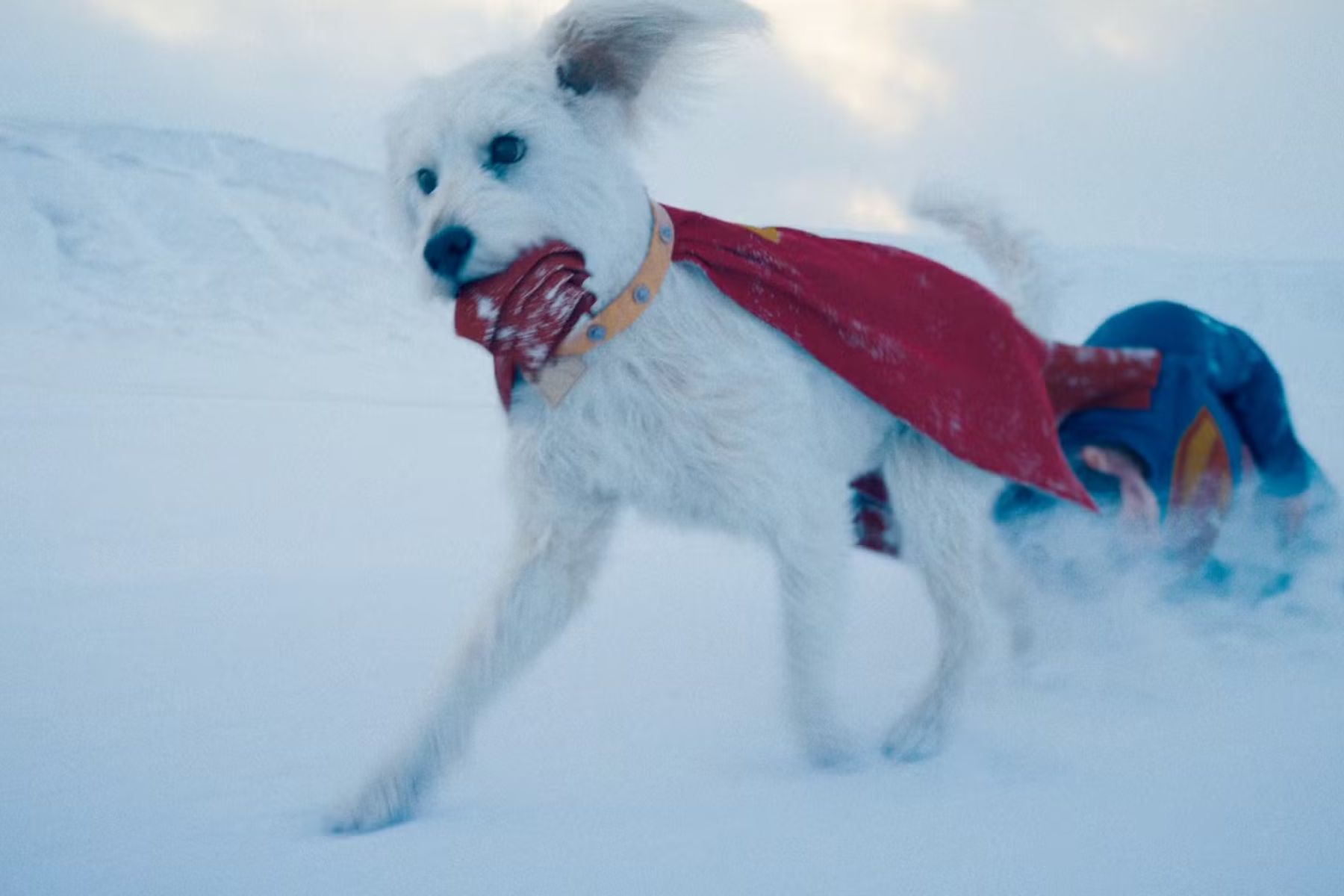 Krypto, el perro superhéroe que conquista la pantalla en la nueva película de Superman