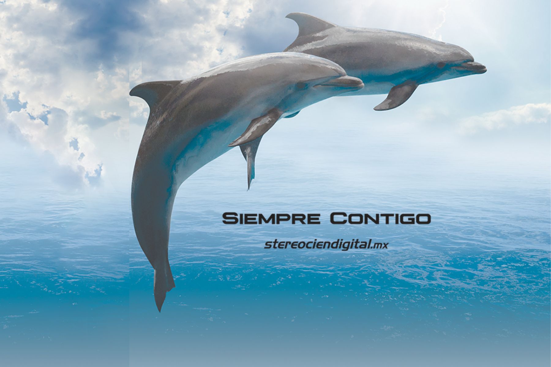 Stereo Cien, 48 años caminando… Siempre Contigo